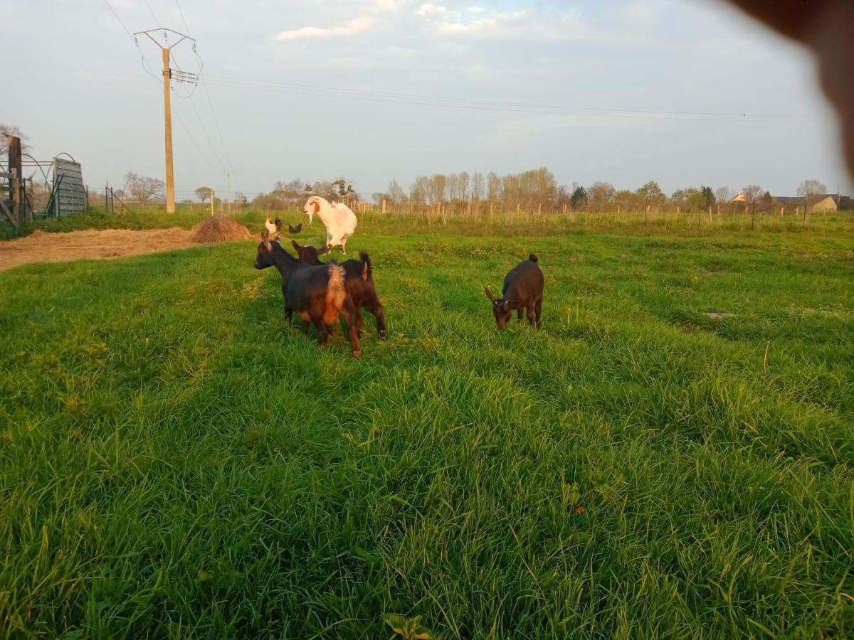 La Ferme d' Emerentine Bacilly Esterno foto