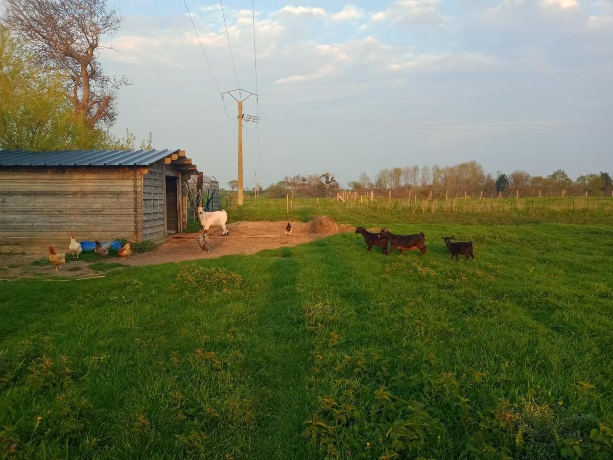 La Ferme d' Emerentine Bacilly Esterno foto