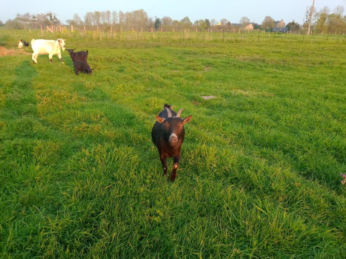La Ferme d' Emerentine Bacilly Esterno foto